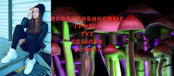spice Медногорск